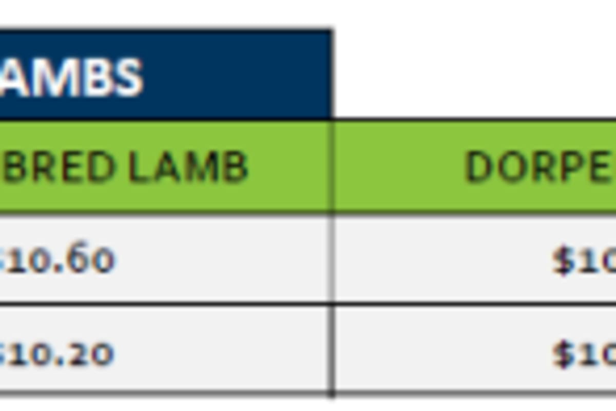 TAMWORTH  Lamb Grid 39 ( 22 Sep 26 ), Tamworth NSW - Agora Livestock listing WWPIVMD