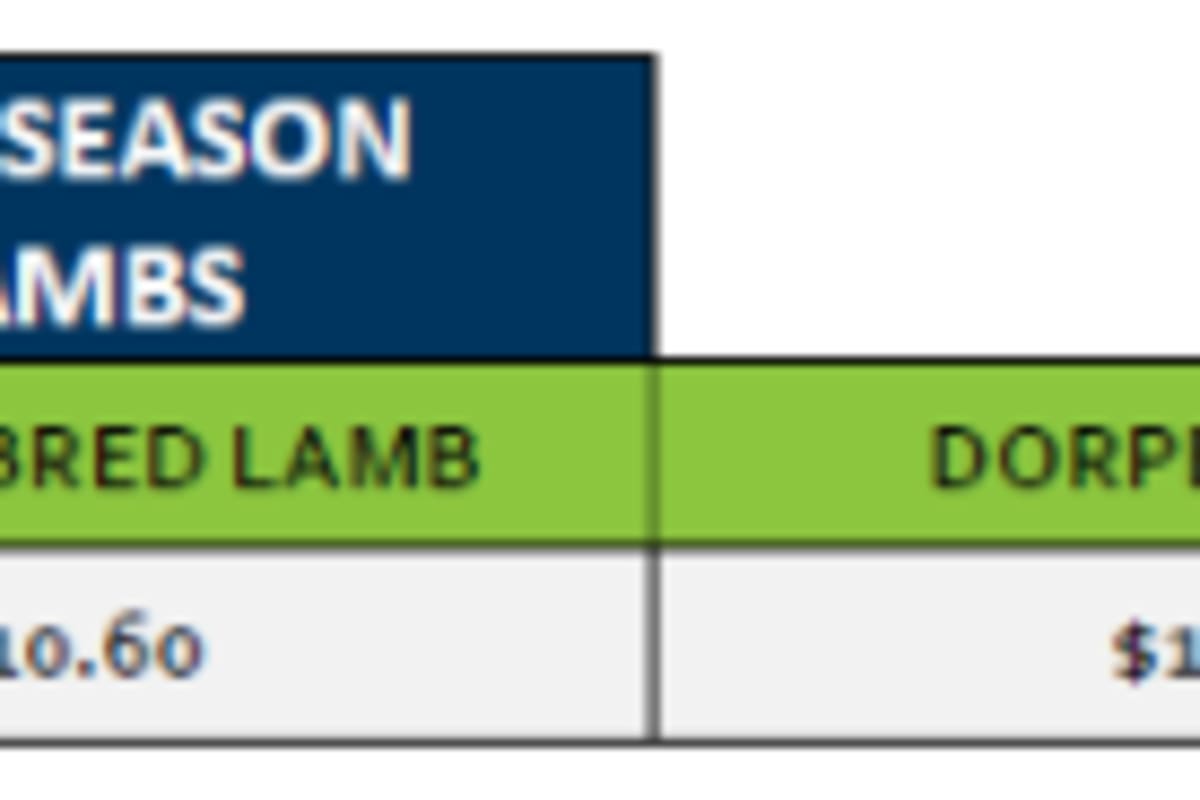 Lobethal New season Lamb Grid 39 (22 Sep 26), Lobethal SA - Agora Livestock listing ER6I50X