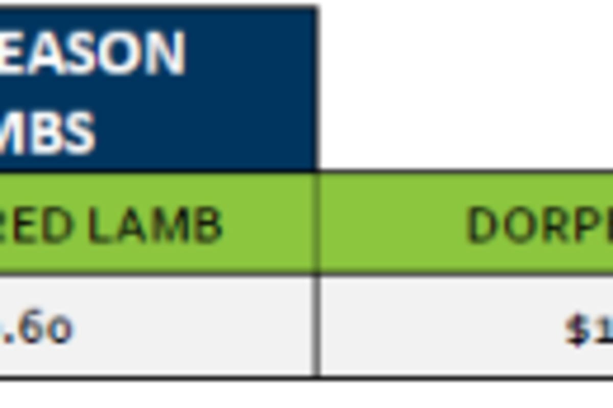 Stawell New Season Lamb Grid 39 (22 Sep 26), Stawell VIC - Agora Livestock listing QVPILRN