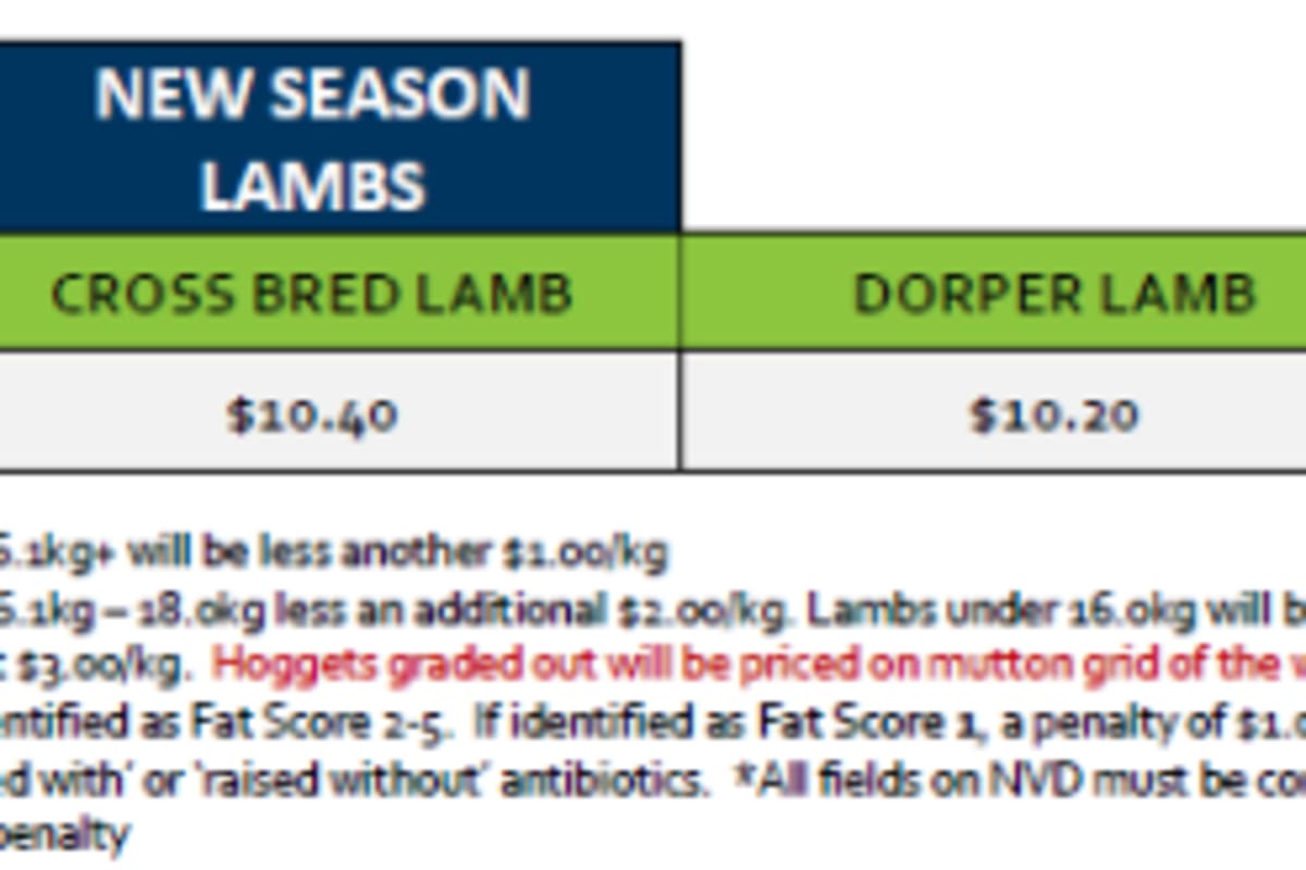 Lobethal New season Lamb Grid 40 (29 Sep 26), Lobethal SA - Agora Livestock listing ER6I50X