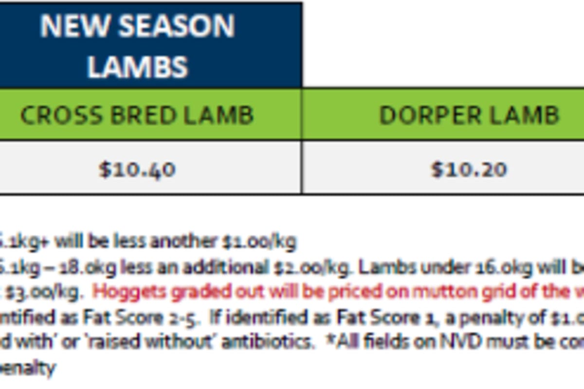 Stawell New Season Lamb Grid 40 (29 Sep 26 ), Stawell VIC - Agora Livestock listing QVPILRN