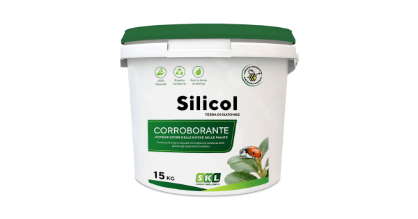 Terre di Diatomee Insetticida Silicol