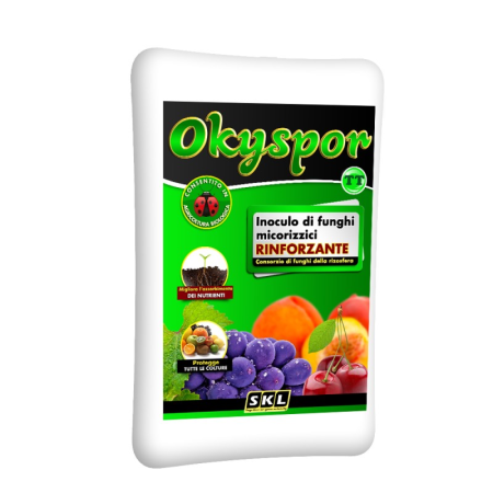 Okyspor TT Foto prodotto
