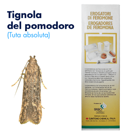 Erogatore di feromoni (tuta absoluta)