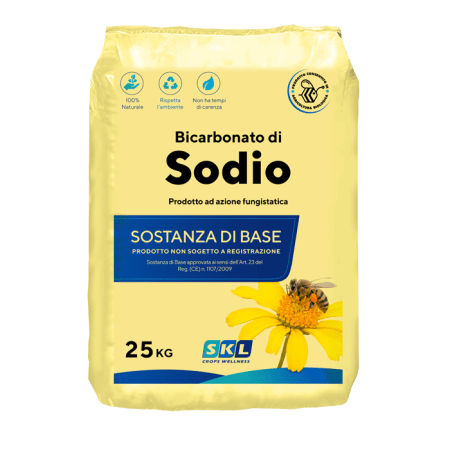 Sodium Bicarbonate Foto prodotto