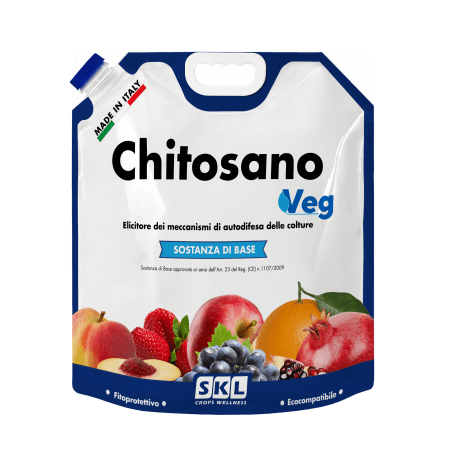 Chitosano VEG (vegetale) Foto prodotto