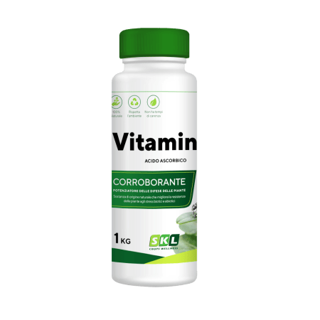 Vitamin C Foto prodotto