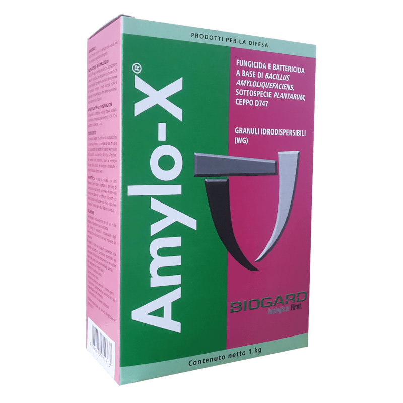 Foto di Amylo-X