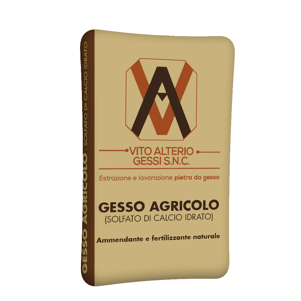 Vito alterio gessi