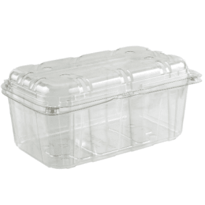 Disposable Small Plastic 125G Fruit Clamshell Packaging Container For  Blueberries Manufacturers