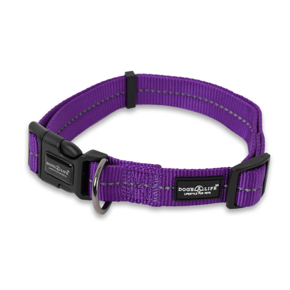 dog s life web collar picture 5