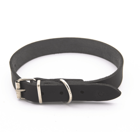 woofer heavy duty leather dog collar 25mm x 550mm picture 1