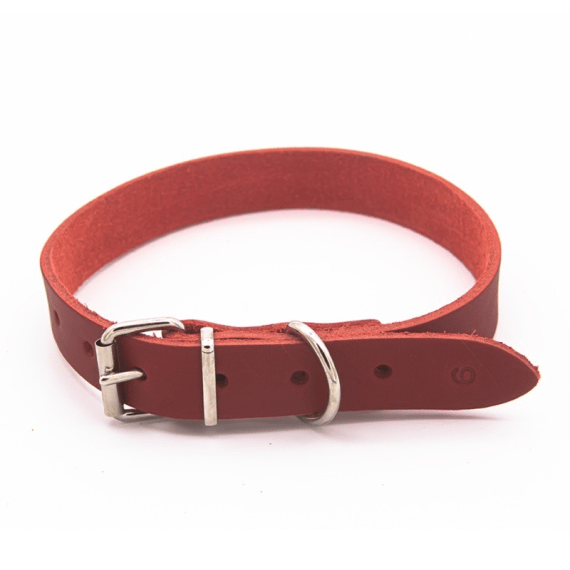 woofer heavy duty leather dog collar 25mm x 550mm picture 3