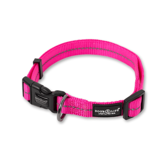 dog s life web collar picture 8