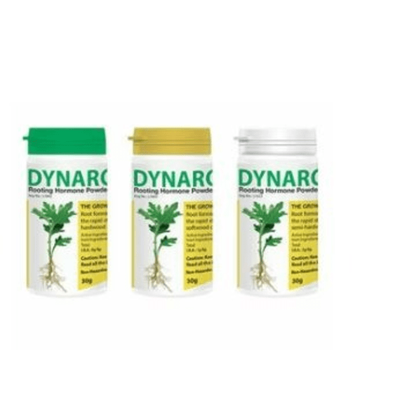 starke ayres dynaroot no 1 30g picture 1