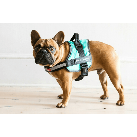 dog s life no pull harness picture 1