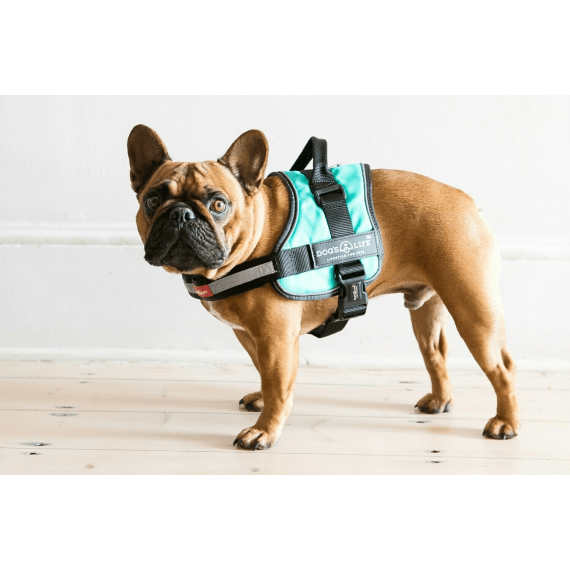 Dog's life deals harness