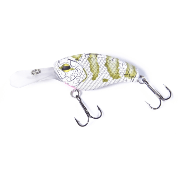 adrenalin bt10 crank lure picture 5