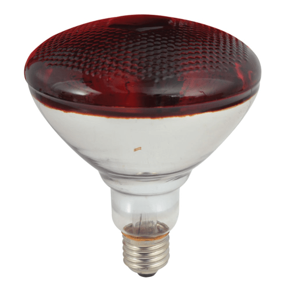 eurolux par38 refl infrared 175w e27 picture 1