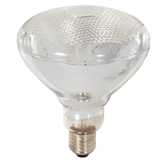 eurolux lamp par38 150w picture 1