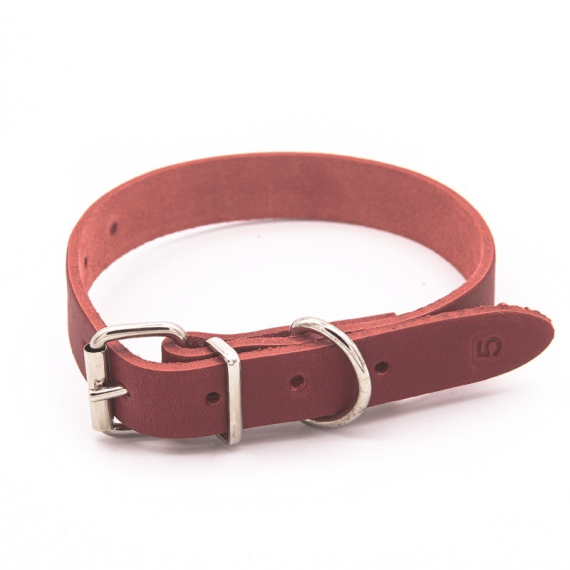 woofer heavy duty leather dog collar 22mm x 500mm picture 1