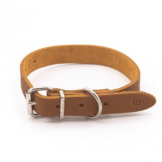 Woofer Heavy Duty Leather Dog Collar 22mm x 500mm Agrimark