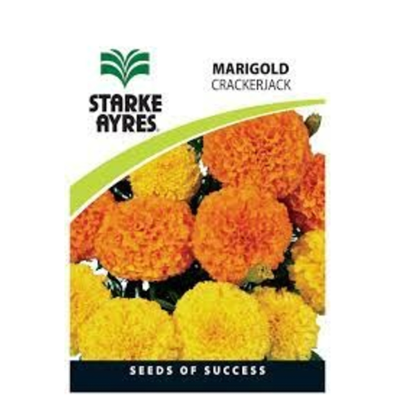 starke ayres marigold crackerjack econopack picture 1