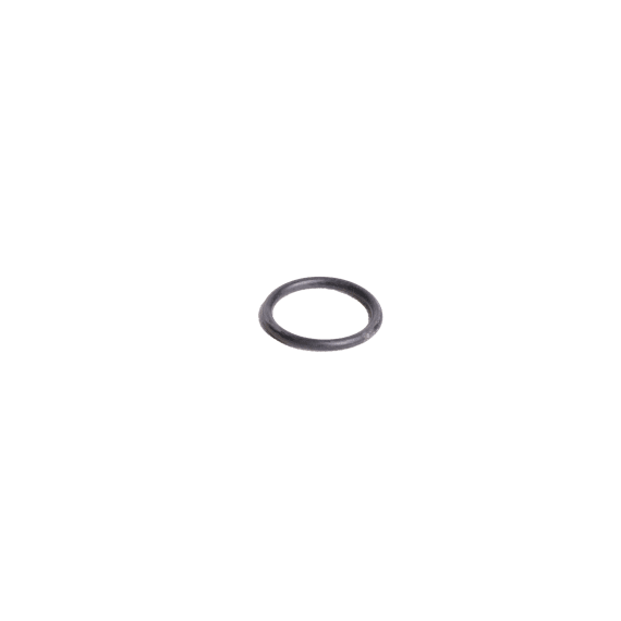o ring 2 62 x 22 22 12100047 picture 1