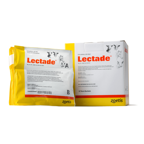 zoetis lectade sachets 10 x 12 per pack picture 1