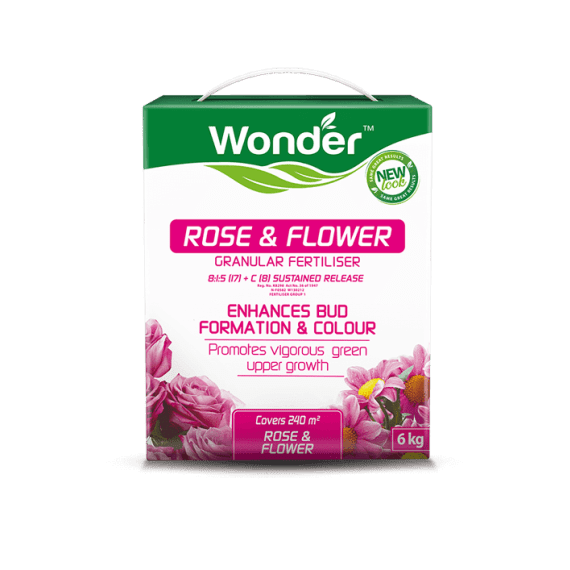 wonder rose flower 6kg picture 1