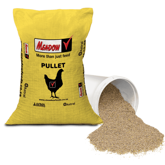 meadow pullet grower pellet amprol 50kg picture 1