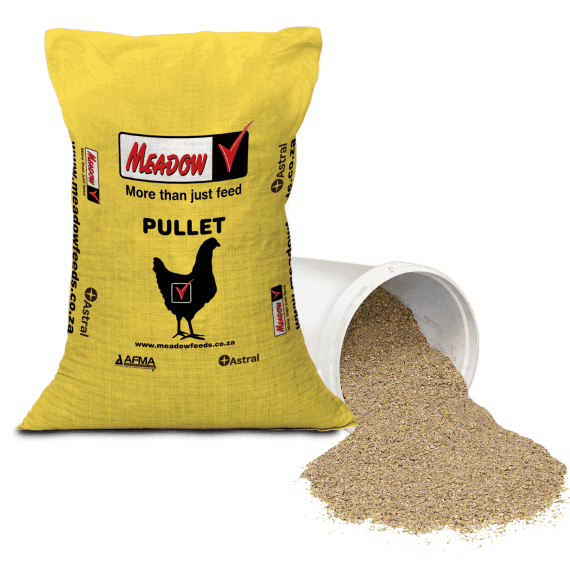 meadow pullet grower meal amprol 50kg picture 1