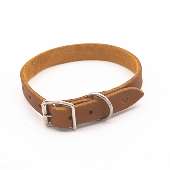 woofer heavy duty leather dog collar 19mmx450mm picture 3