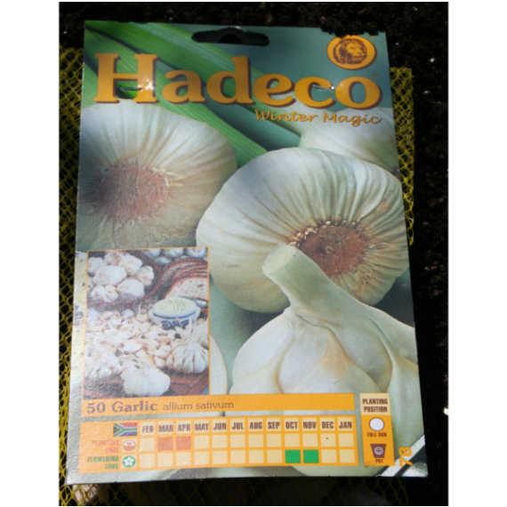 hadeco garlic bulb 50 per pack picture 1