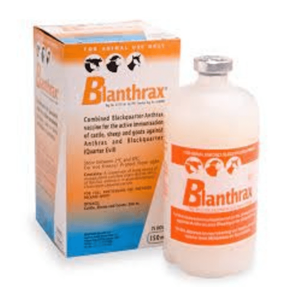 msd vaccine blanthrax 150ml picture 1