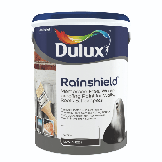 dulux rainshield picture 4