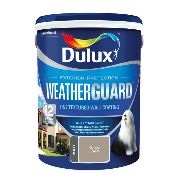 dulux weatherguard fine texture picture 3