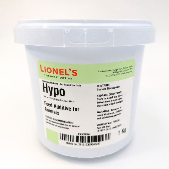 lionels hypo picture 1