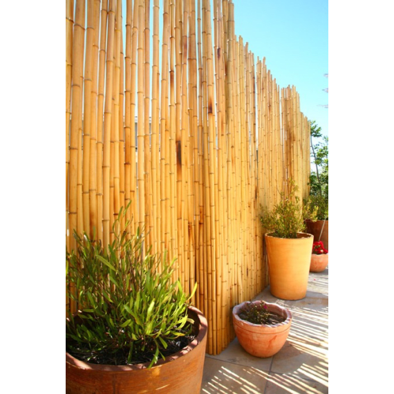 brightfields tonkin cane fence picture 1