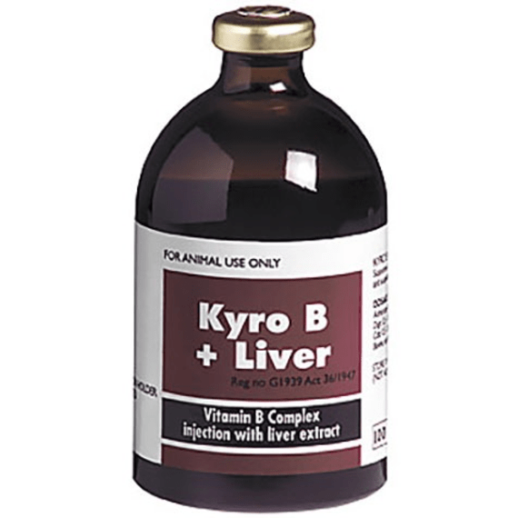 kyro b plus liver 100ml picture 1