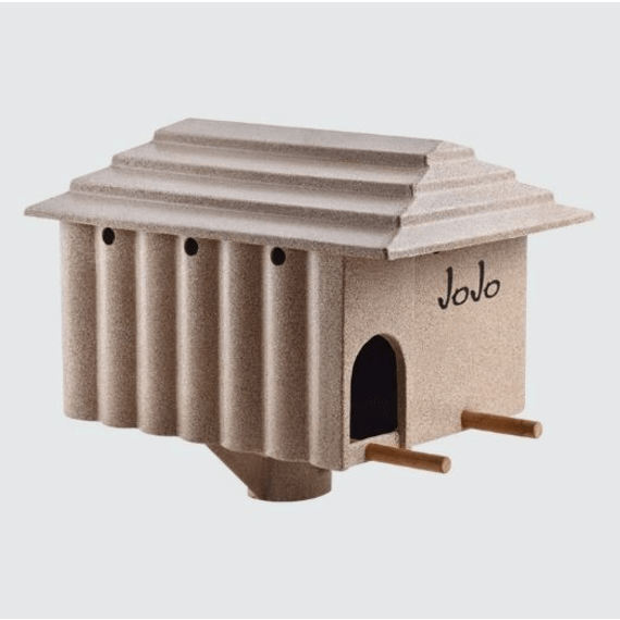 jo jo owl house picture 1