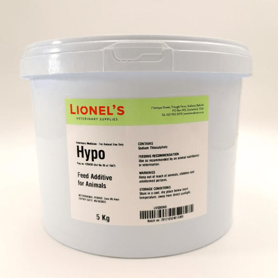 lionels hypo picture 2