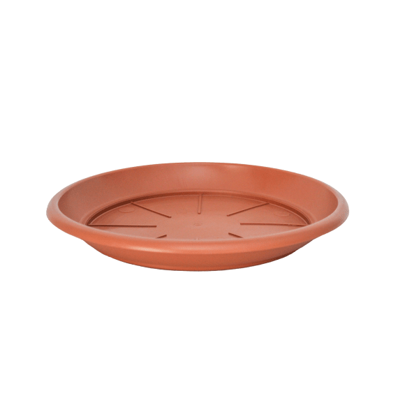 idel saucer siena tc picture 1