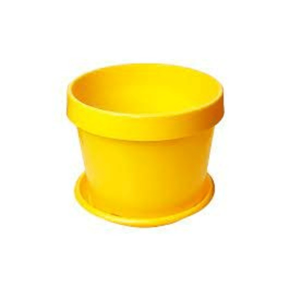 idel grow saucer italia yellow 27cm picture 1