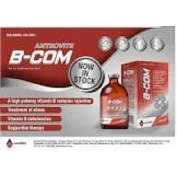 antrovite b com 100ml picture 1