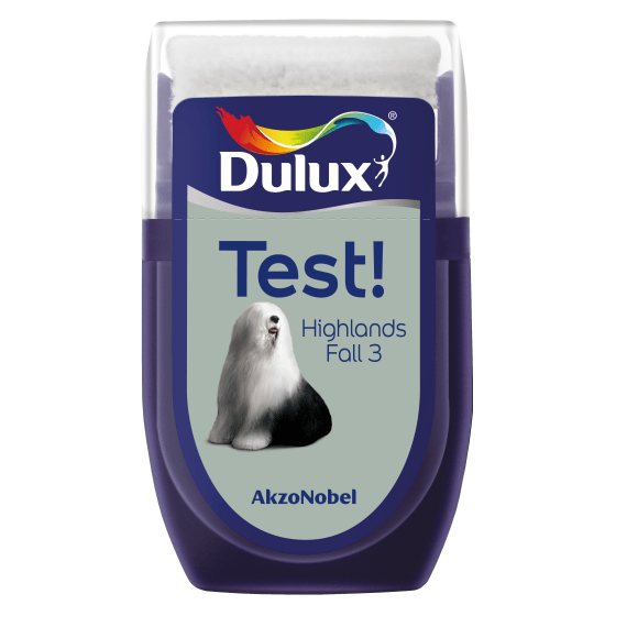 dulux tester picture 6