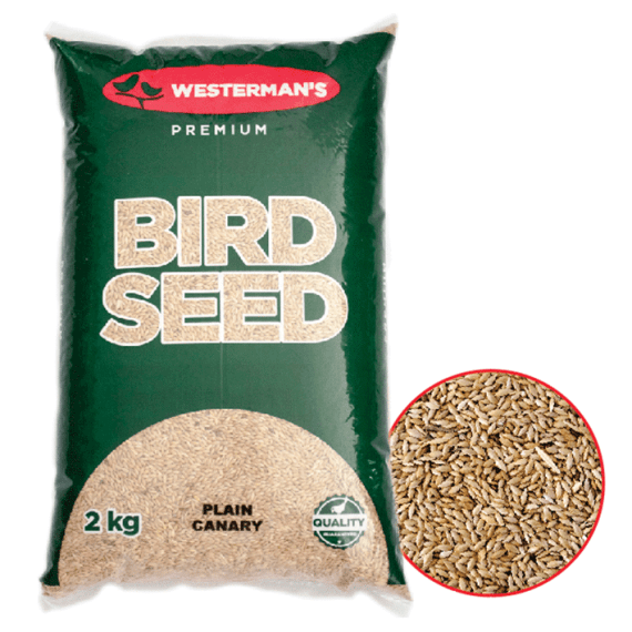 westerman s canary plain bird seed picture 1