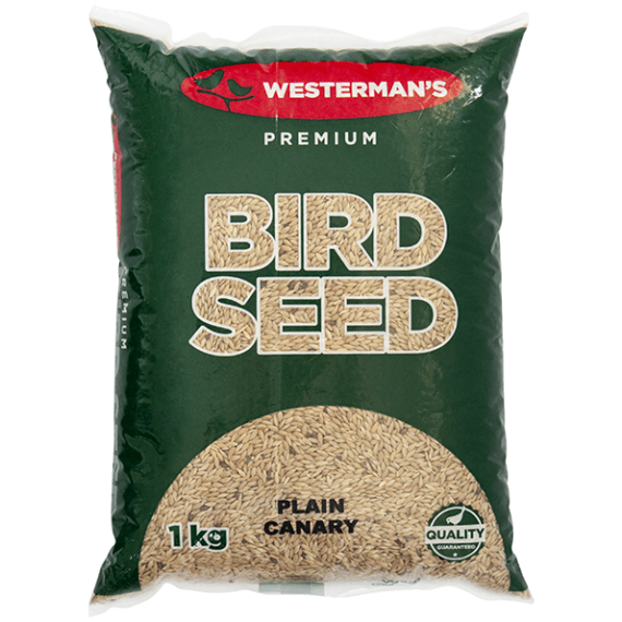 westerman s canary plain bird seed picture 3