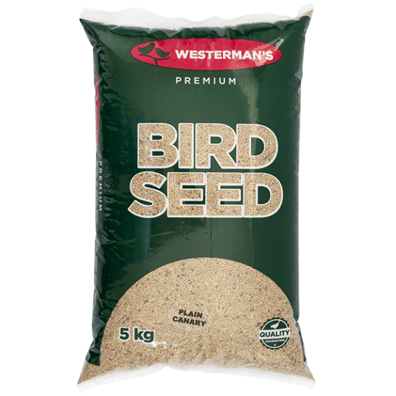 westerman s canary plain bird seed picture 2