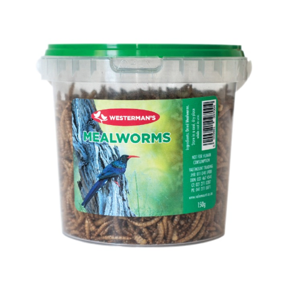 westerman s meal worms 150g picture 1